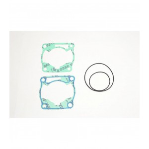 R4856-089 RACE GASKET KIT...