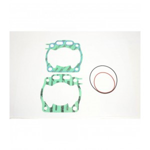 R4856-267 RACE GASKET KIT...