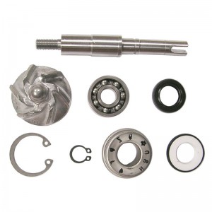 SET REPARA EJE B.AGUA 8663