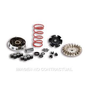 5113161 VARIADOR MALOSSI...