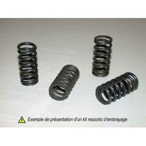 1004295 KIT DE MUELLES DE...